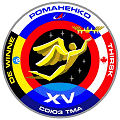 Znak Sojuzu TMA-15