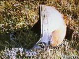 Mezi nalezenmi troskami byla i pilba jednoho z len posdky STS-107 (01.02.2003)