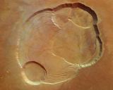 Foto 3: Kráter bývalé sopky Olympus Mons