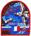 Znak Sojuzu TM-29