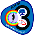 Znak Skylabu 4