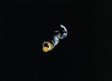 Sestava Galileo/IUS krátce po vypuštění (19.10.1989)