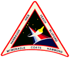 Znak STS-39